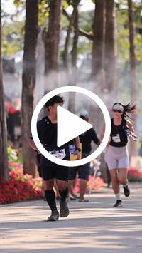 BIB:  <button type="button" onclick="openModal(27610396)" class="btn btn-primary btn-sm float-right" data-toggle="modal" data-target=".modal-high-quality">
                <i class="fa fa-download"></i> Download
                </button>